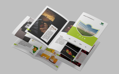 平面电脑图文设计 数字时代视觉传播的核心技艺